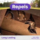 Bonide Bat Magic Animal Repellent Granules for Bats, 2 oz (4 Scent Packs)