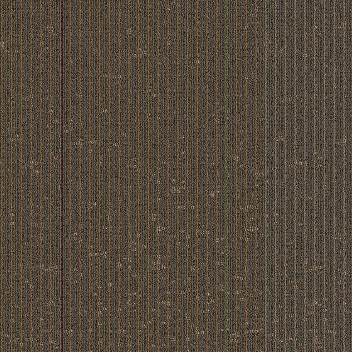 Beestn 24