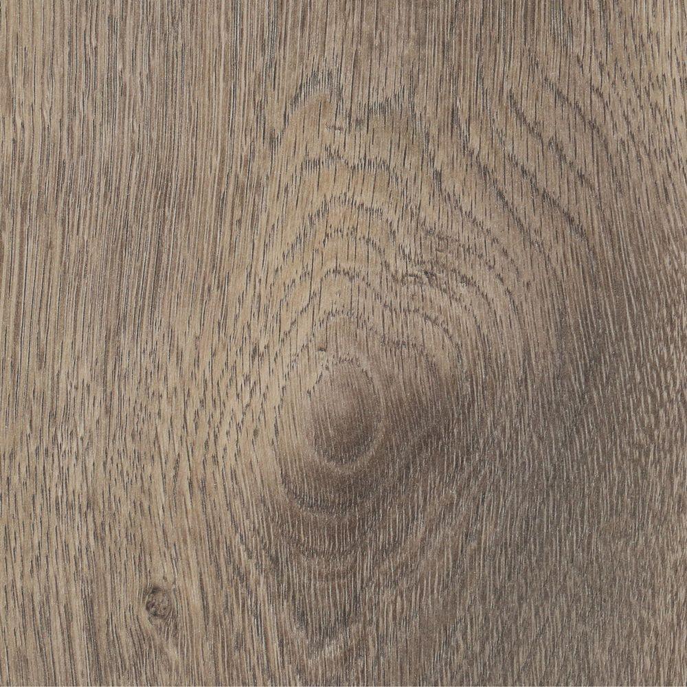 Pergo XP Southern Grey Oak 10 mm T x 6.14 in. W x 47.24 in. L Laminate Flooring (16.12 sq. ft. / case)