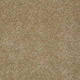 STAINMASTER PetProtect Baxter I Molly Textured Carpet (Indoor)