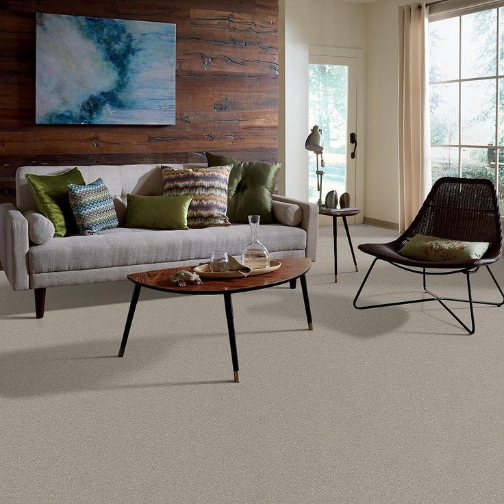 STAINMASTER PetProtect Baxter II Harley Textured Carpet (Indoor)