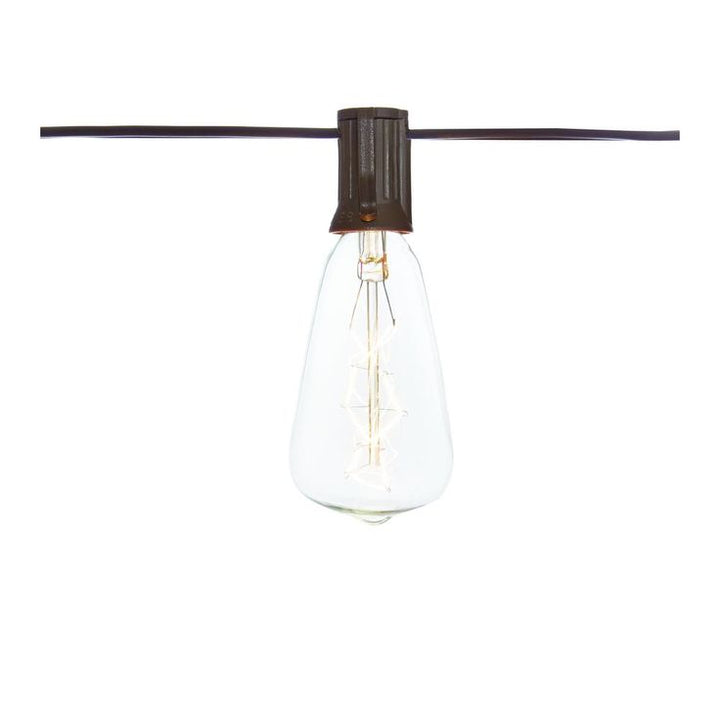 Outdoor/Indoor 10 ft. Light Line Voltage ST40 Vintage Bulb Incandescent String Light (10-Heads)
