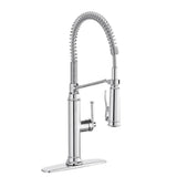 Linscott Single-Handle Coil Springneck Pull-Down Sprayer Kitchen Faucet in Matte Black - Super Arbor