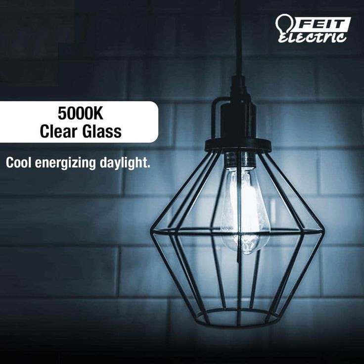Feit Electric 60-Watt Equivalent ST19 Dimmable LED Clear Glass Vintage Edison Light Bulb With Straight Filament Daylight (4-Pack)