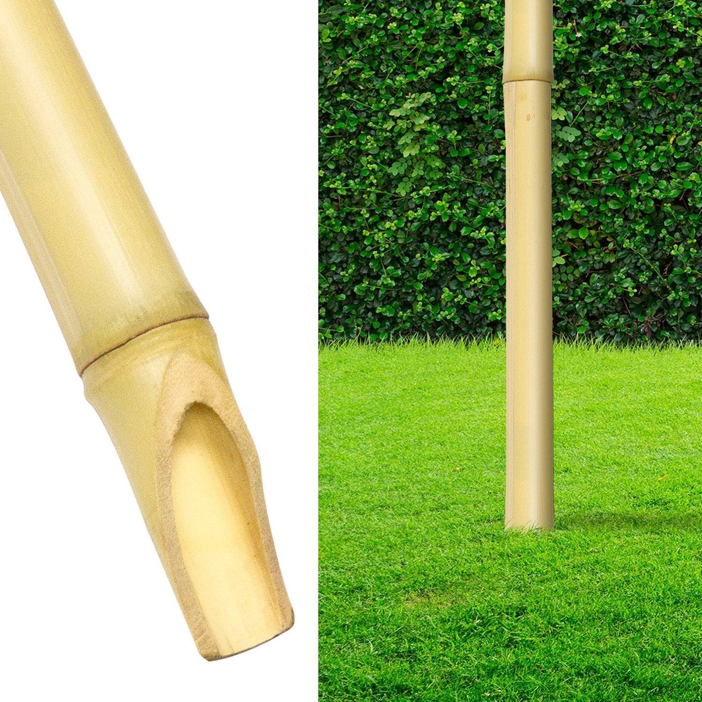 bc7e28f9-a62e-42d2-bfcf-c278f9f2dd1e_2.d73329ff926f418ed9287db3afbbfa5e_871331320.jpeg