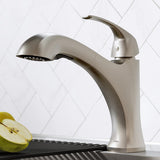 Spot Free Oren Single-Handle Pull-Out Sprayer Kitchen Faucet in All-Brite Stainless Steel - Super Arbor