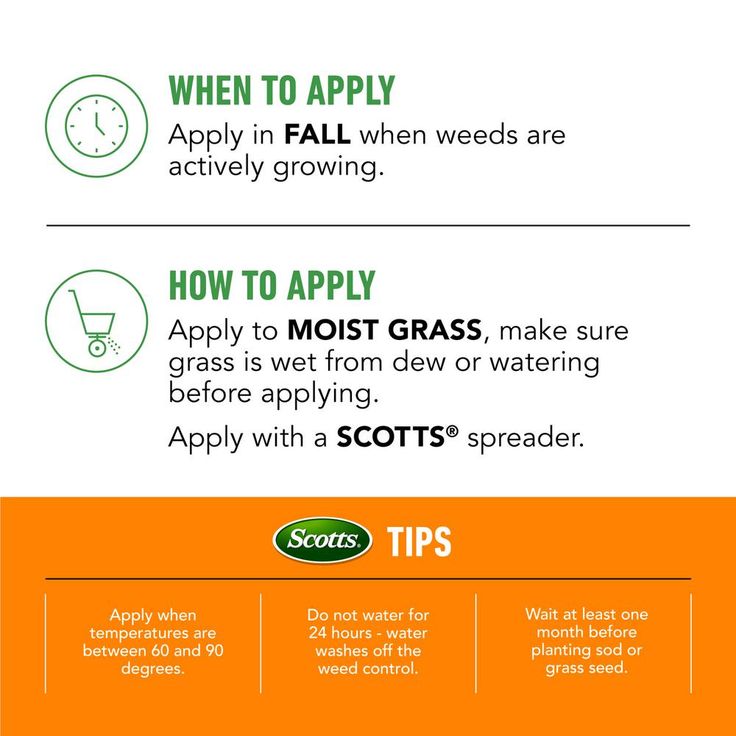 Scotts Turf Builder Winterguard 14 lbs. 5,000 sq. ft. Fall Lawn Fertilizer Plus Weed Control