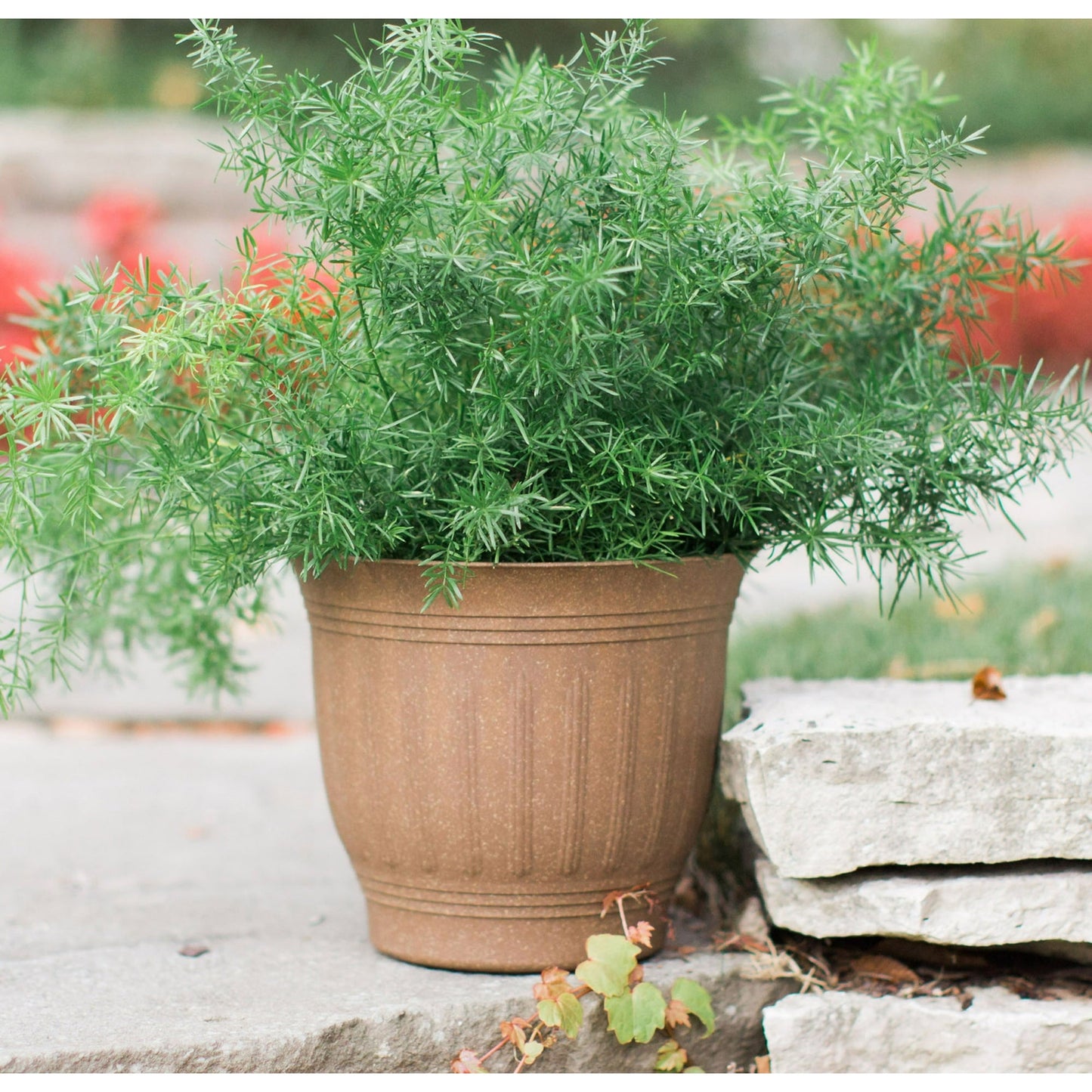 Bloem Colonnade Wood Resin Planter 8" Dark Earth