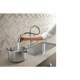 Trielle Single-Handle Pull-Down Sprayer Kitchen Faucet in Chrome - Super Arbor