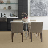 STAINMASTER PetProtect Baxter I Boxer Textured Carpet (Indoor)