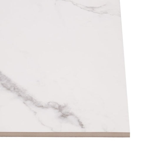 Style Selections Statuary White 12-in x 24-in Matte Porcelain Marble Look Floor Tile