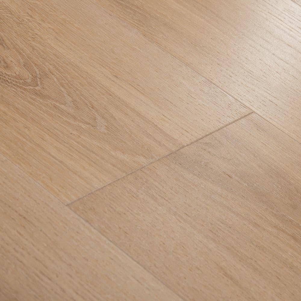 Pergo Defense+ Beachwood Park Oak 3/8 in. T x 7.5 in. W Click Lock W Brushed Engineered Hardwood Flooring (24.5 sq.ft./case)