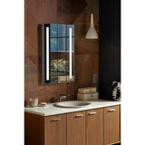 Verdera 20 in. W x 30 in. H Surface-Mount Lighted Medicine Cabinet