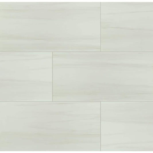 MSI Bianco Dolomite 24 in. x 48 in. Polished Porcelain Stone Look Floor and Wall Tile (16 sq. ft. /Case)