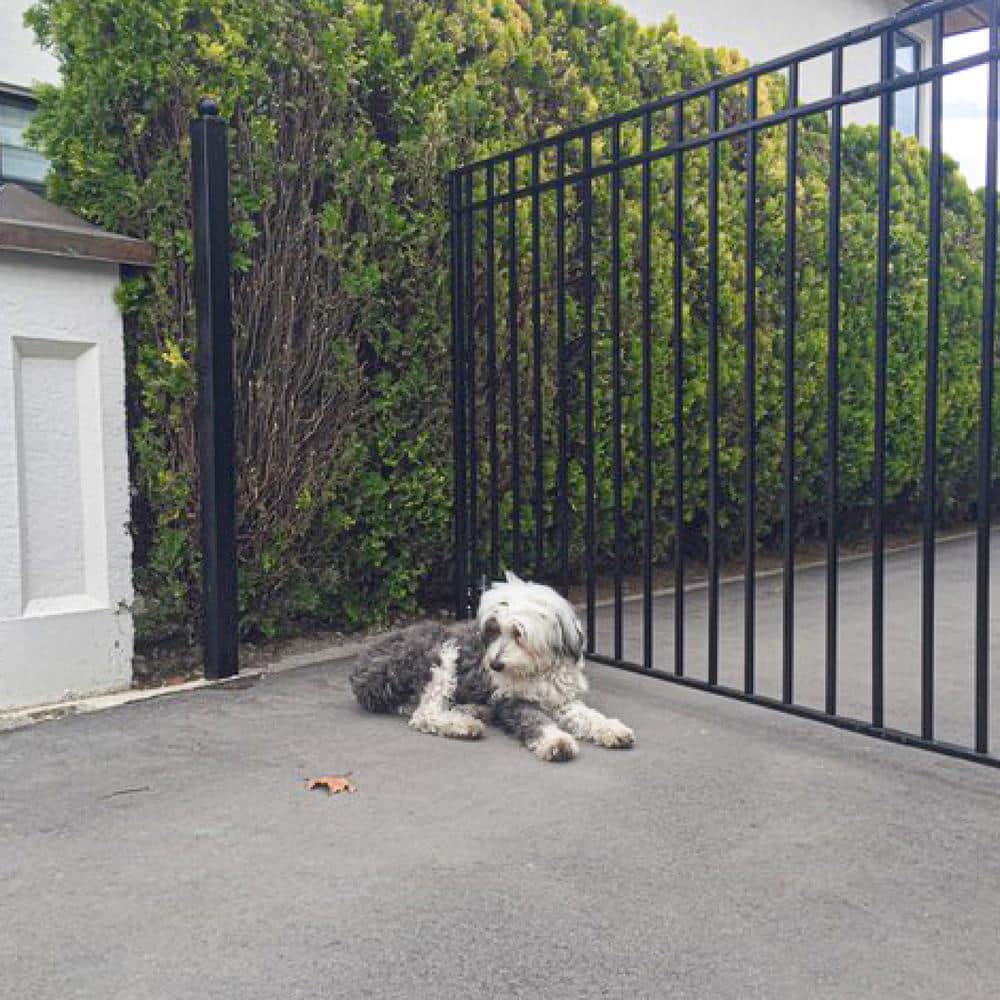 ALEKO Madrid Style 14 ft. x 6 ft. Black Steel Single Swing Driveway Fence Gate