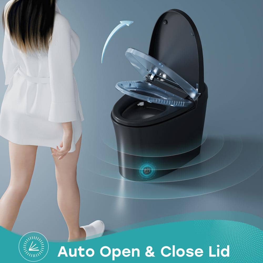 HOROW T36 Unique Black Smart Bidet Toilet with Auto Flush & LED Screen