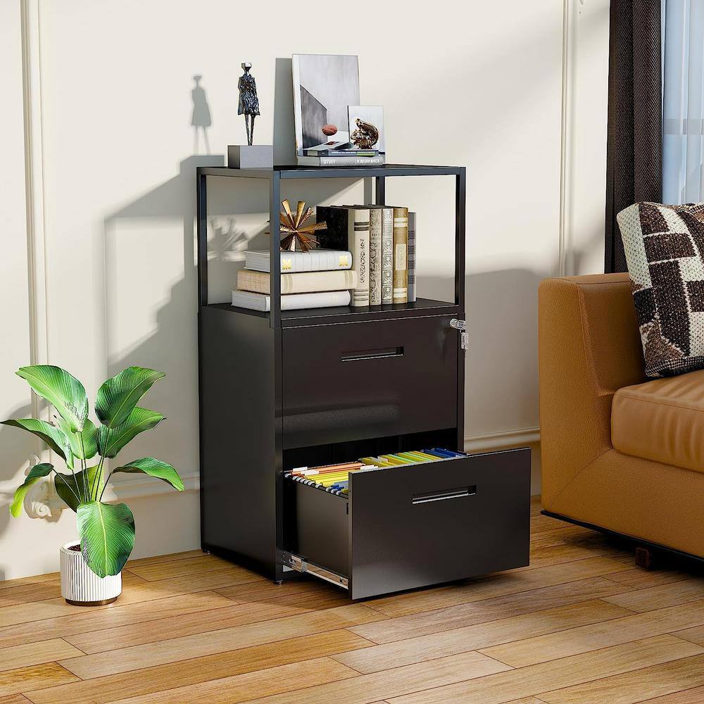 LISSIMO 41.3 in. H x 23.6 in. W x 15.7 in. D Garage Cabinet, 2 Tier Metal File Cabinet with Shelves, 2 Lockable Drawers in Black