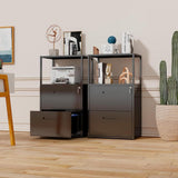 LISSIMO 41.3 in. H x 23.6 in. W x 15.7 in. D Garage Cabinet, 2 Tier Metal File Cabinet with Shelves, 2 Lockable Drawers in Black