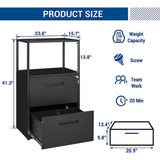 LISSIMO 41.3 in. H x 23.6 in. W x 15.7 in. D Garage Cabinet, 2 Tier Metal File Cabinet with Shelves, 2 Lockable Drawers in Black