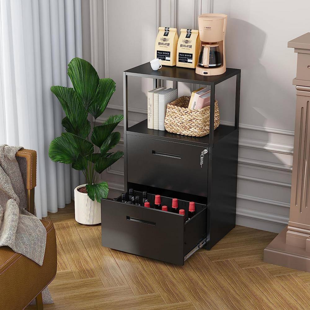 LISSIMO 41.3 in. H x 23.6 in. W x 15.7 in. D Garage Cabinet, 2 Tier Metal File Cabinet with Shelves, 2 Lockable Drawers in Black