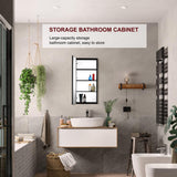 Interbath 18 in. W x 36 in. H Rectangular Black Aluminum Surface Mount Medicine Cabinet with Mirror