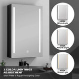 Unbranded Modern 20 in. W x 30 in. H Black Rectangular Surface Mount Framed Bathroom Medicine Cabinet with Mirror (Right Open)