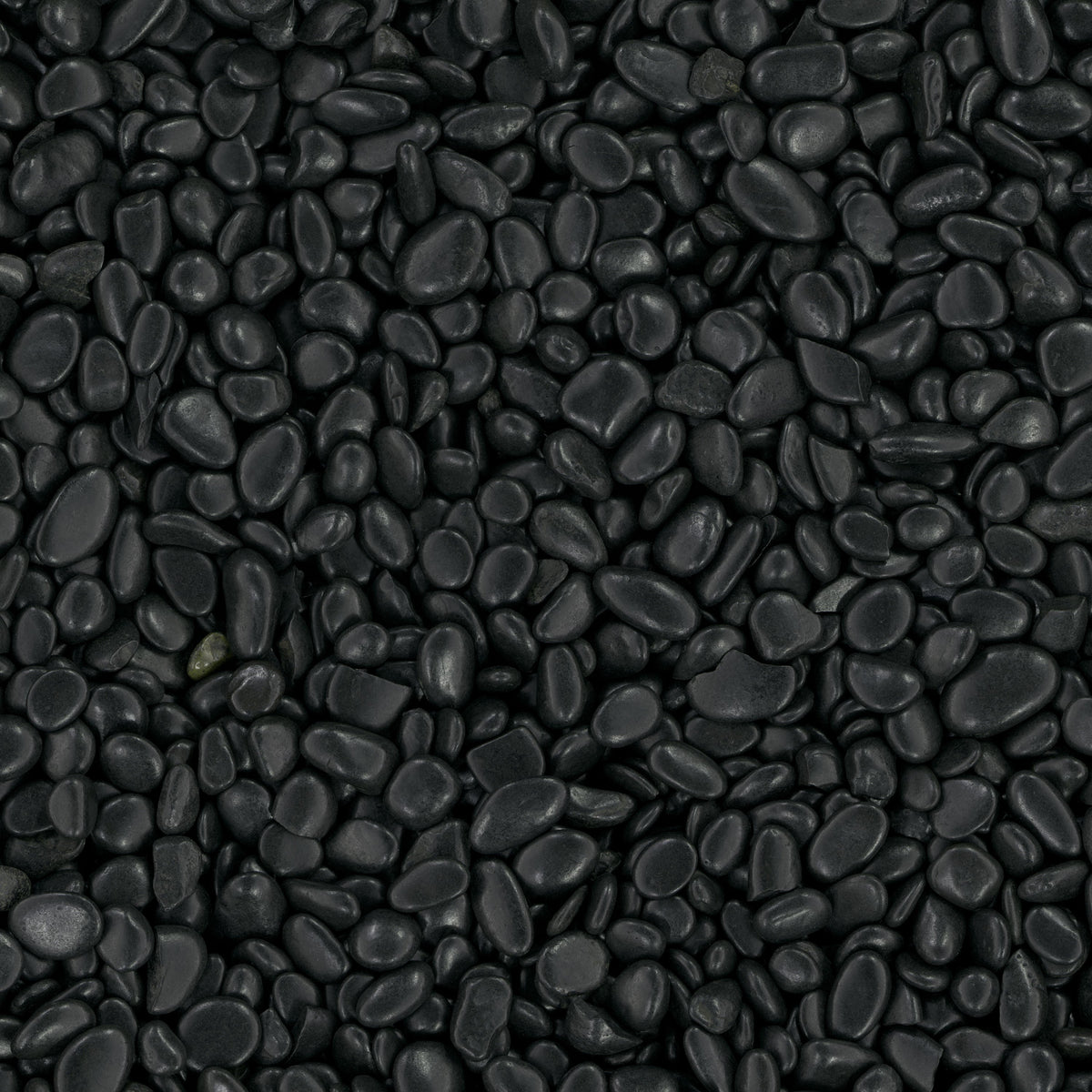 MSI Black Polished Pebbles – 0.5 cu. ft., 0.25–0.5 in., 40 lb Bag