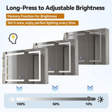 Simple Project 20 in. W x 30 in. H Rectangular Aluminum Light Medicine Cabinet with Mirror, Defogging, Mounted Recessed or Surface