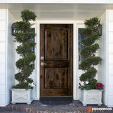 Krosswood Doors 30 in. x 80 in. Knotty Alder 2 Panel Right-Hand/Inswing Black Stain Wood Prehung Front Door