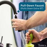 TEHILA 23.5 in. Black Thermoplastic Wall Mounted Utility Sink with Pull-down Sprayer Faucet