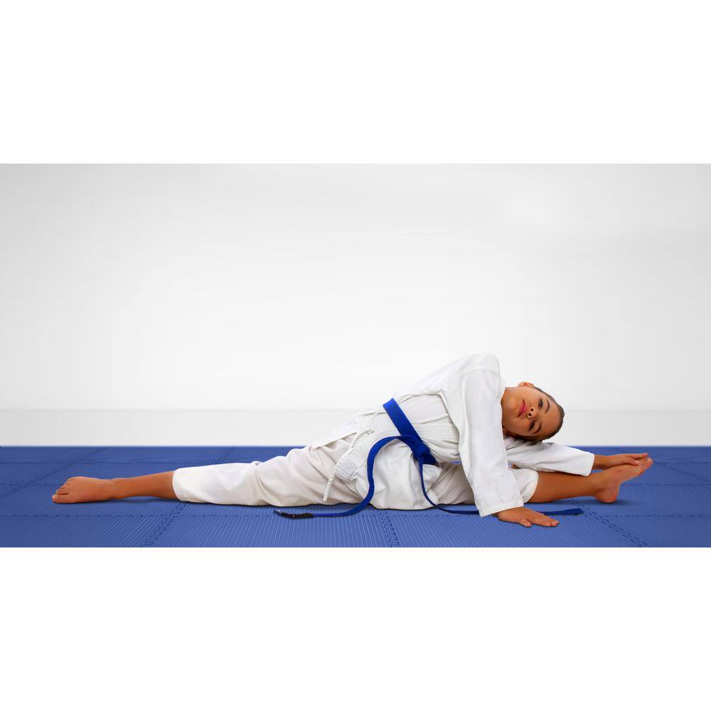 Norsk Blue 24 in. x 24 in. x 0.79 in. Foam Interlocking Reversible Mat (4-Pack)
