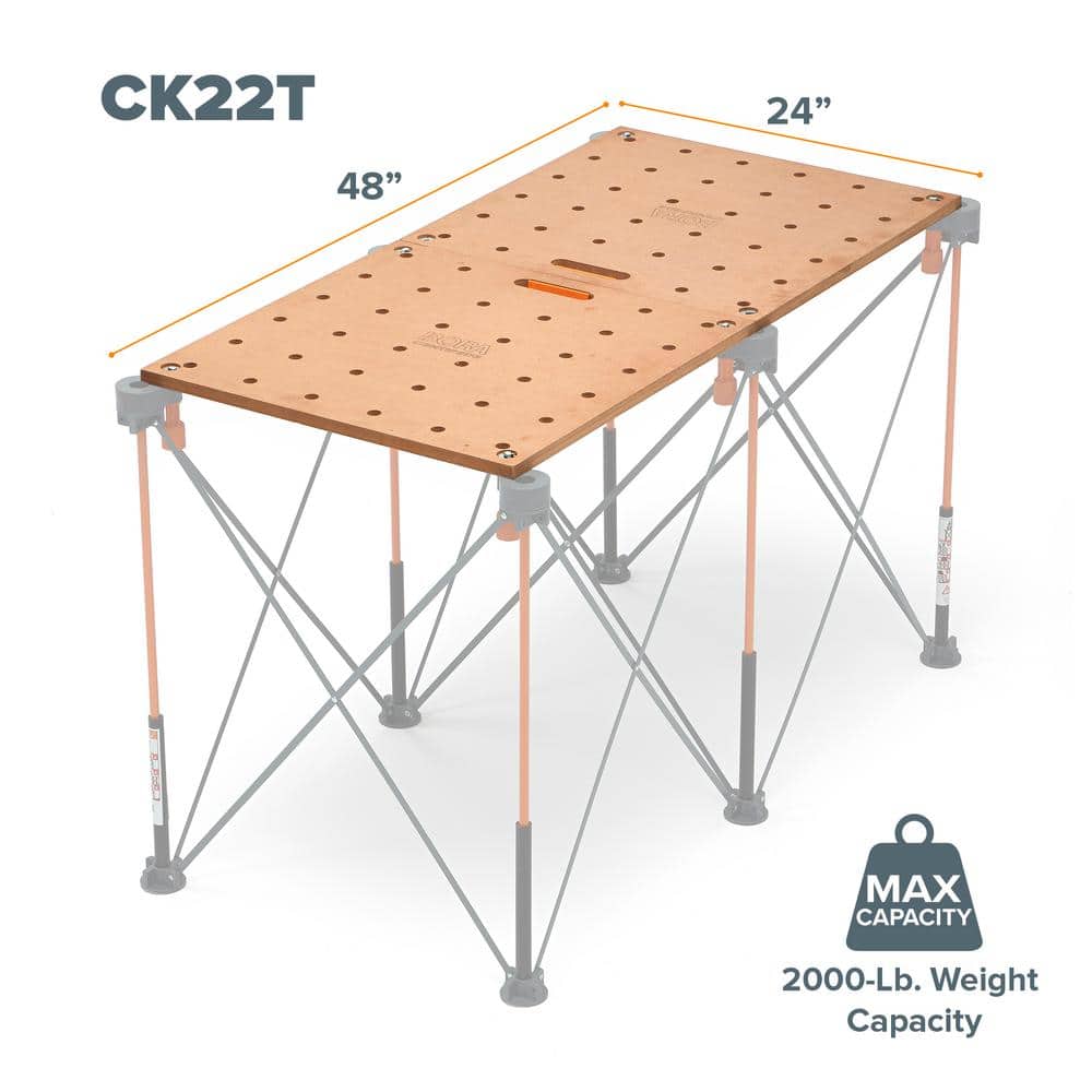 BORA Centipede 24 in. x 48 in. Workbench Top for Sawhorse with 3/4 in. Dog Holes