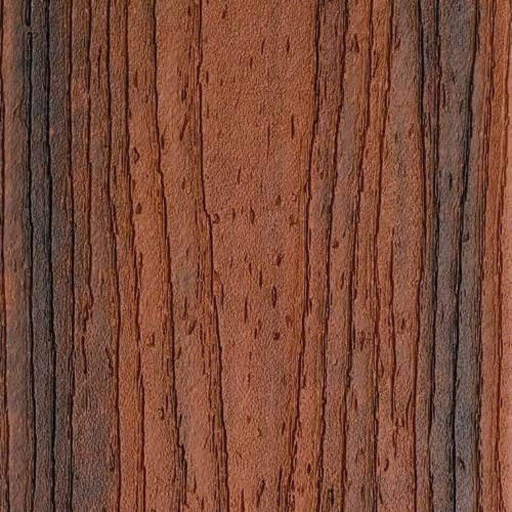 Trex Transcend Spiced Rum Grooved Edge Composite Deck Board