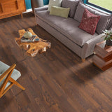 Pergo XP Burnt Anndel Oak 10 mm T x 7.4 in. W x 47.2 in. L Laminate Wood Flooring (19.63 sq. ft./Case)