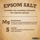 Pennington 7 lb. Epsom Salt - Super Arbor