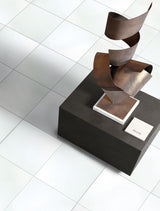 Emser THASSOS WHITE 10-Pack Thassos White 12-in x 12-in Polished Natural Stone Marble Stone Look Floor and Wall Tile