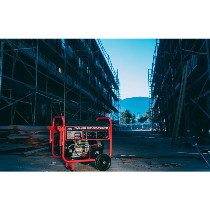 All Power 12,000-Watt Dual Fuel Propane and Gasoline Powered Electric Start Portable Generator