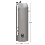 Performance 48 Gal. Tall 6 Year 40,000 BTU Natural Gas Power Direct Vent Tank Water Heater - Super Arbor