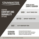 STAINMASTER Essentials So in Love Amazing View Pattern Carpet (Indoor)