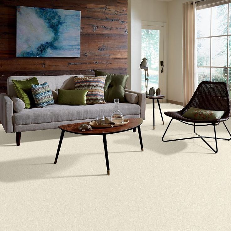 STAINMASTER PetProtect Baxter I Lucy Textured Carpet (Indoor)