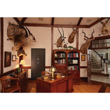 32 in. W x 80 in. H Vault Room Safe Door - Outswing - Super Arbor