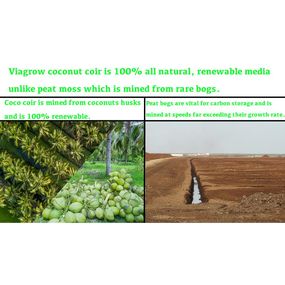 Viagrow 1.4 lbs. Premium Soilless Coconut Coir Brick Grow Media (12-Pack) - Super Arbor