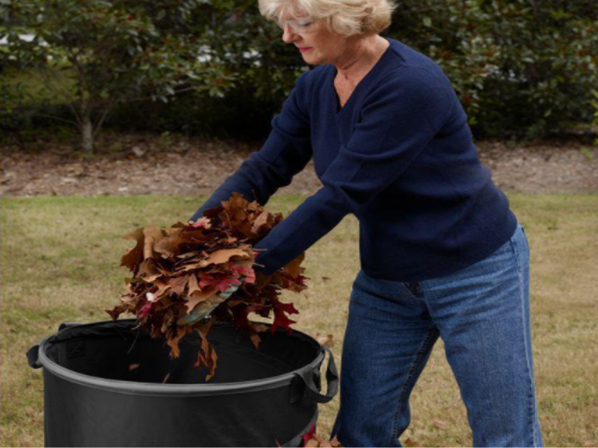RYOBI Lawn and Leaf Bag, Collapsible 40-Gallon Capacity (AC04313)