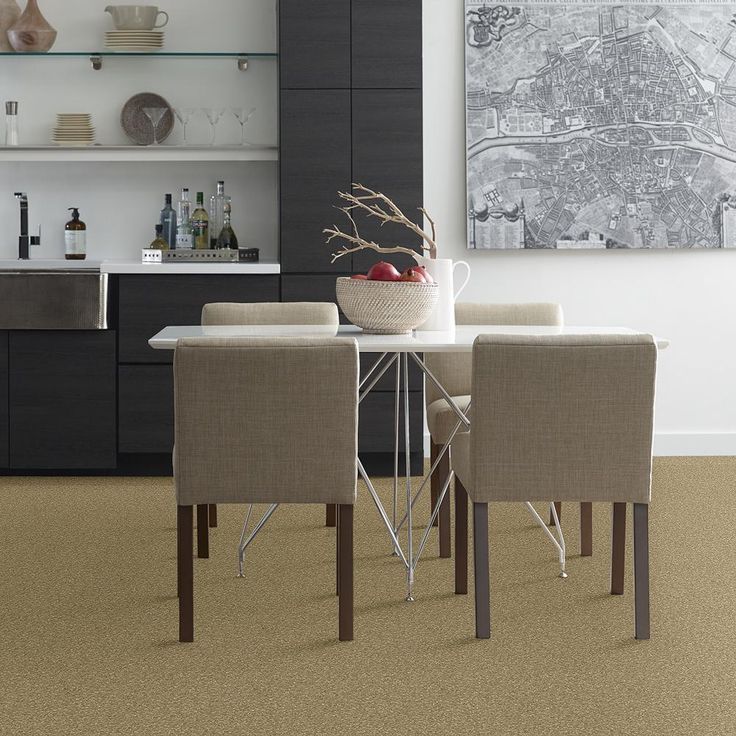 STAINMASTER PetProtect Baxter I Molly Textured Carpet (Indoor)
