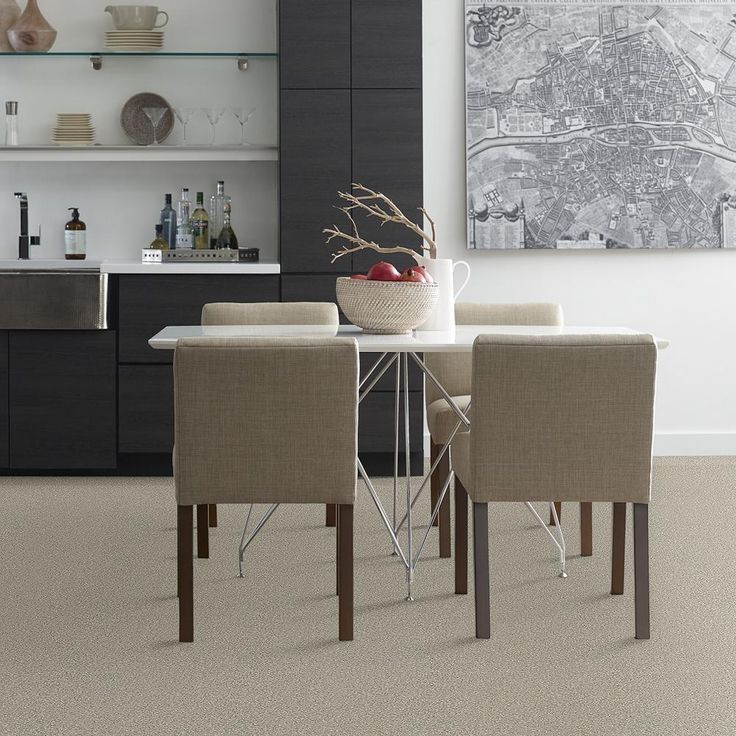 STAINMASTER PetProtect Baxter II Marmaduke Textured Carpet (Indoor)