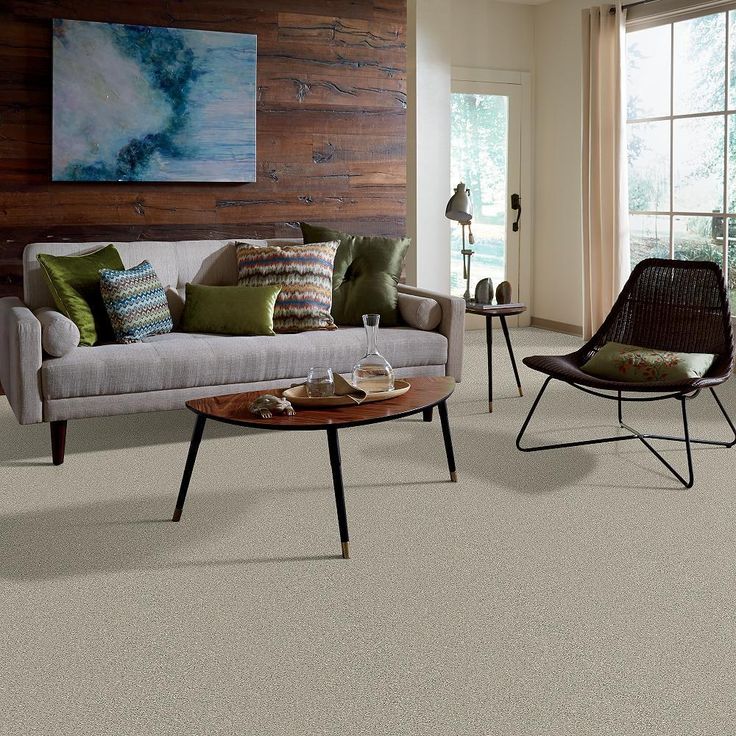 STAINMASTER PetProtect Baxter II Marmaduke Textured Carpet (Indoor)