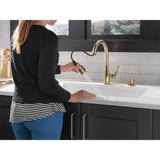 Owendale Single-Handle Pull-Down Sprayer Kitchen Faucet with ShieldSpray Technology in Champagne Bronze - Super Arbor