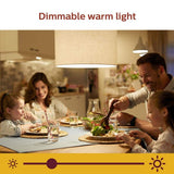 Philips Soft White BR30 LED 65-Watt Equivalent Dimmable Smart Wi-Fi Wiz Connected Wireless Light Bulb (2-Pack)