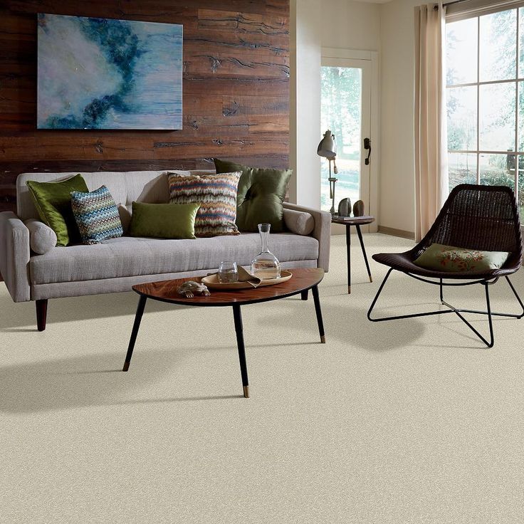 STAINMASTER PetProtect Baxter I Sadie Textured Carpet (Indoor)