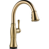 Cassidy Single-Handle Pull-Down Sprayer Kitchen Faucet in Venetian Bronze - Super Arbor